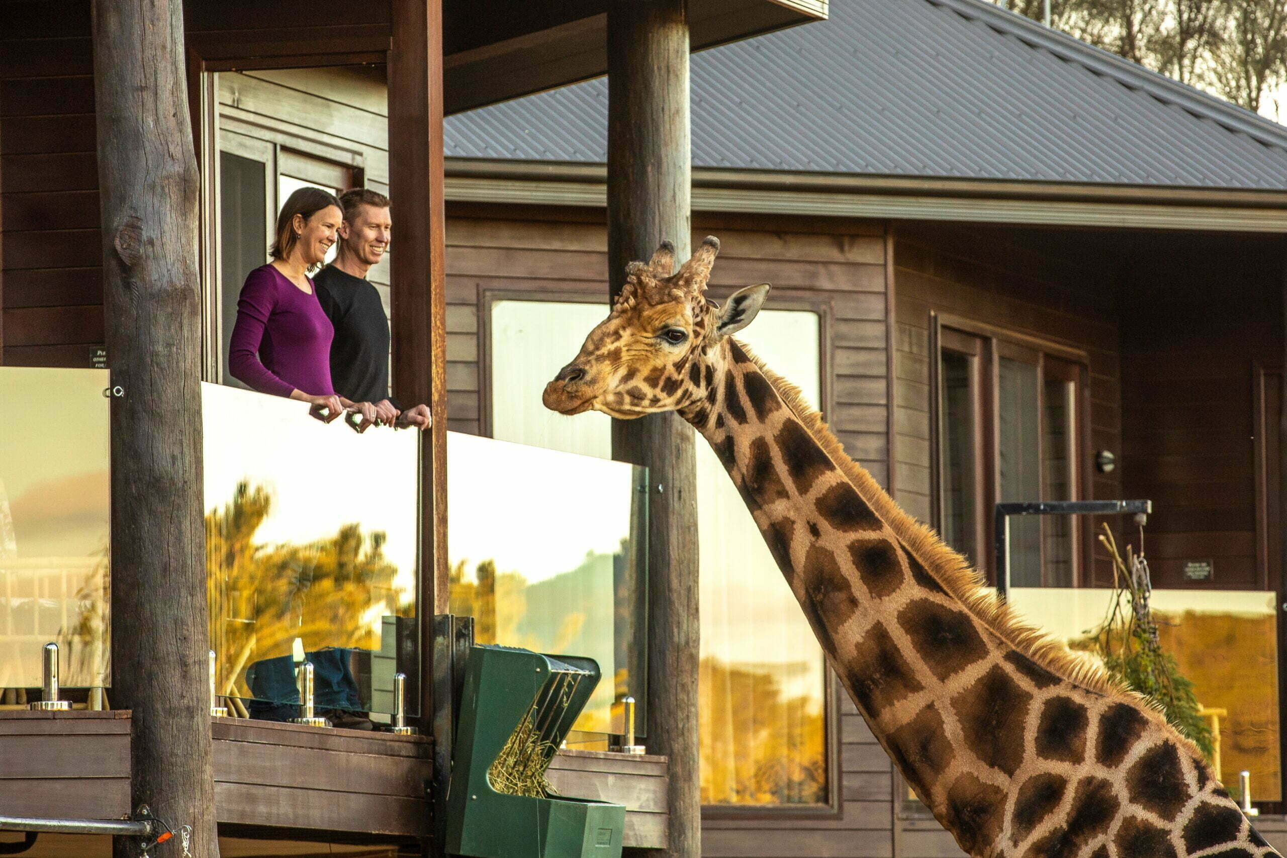 Jamala Wildlife Lodge and National Zoo & Aquarium, Canberra For Sale